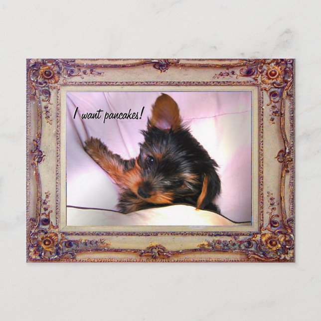 Carte Postale Petit déjeuner au lit Yorkie ? (Devant)