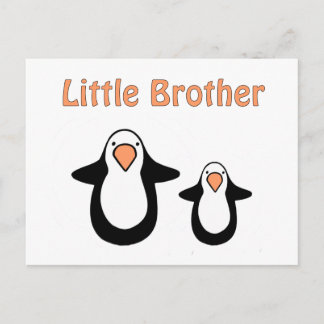 Carte Postale petit frère pingouin