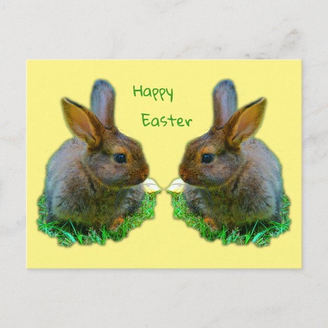 Carte Postale Petit Lapin (Devant)
