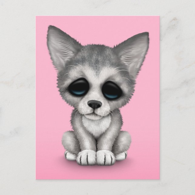 Carte Postale Petit loup gris pâle chiot sur rose (Devant)