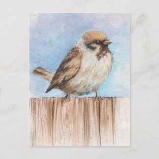 Carte Postale Petit moineau