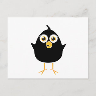 Carte Postale Petit oiseau noir