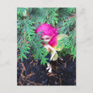 Carte Postale Petit Ours Repris, Poupée Asiatique Jointe À La Ba