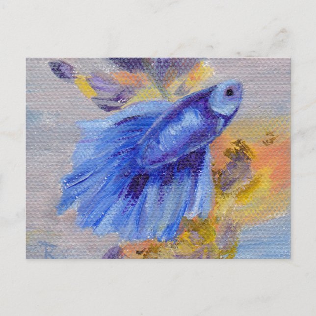 Carte Postale Petit poisson bleu Betta (Devant)