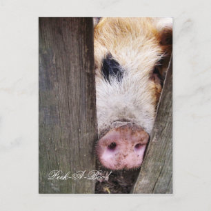 CARTE POSTALE PETIT POITRON CUL