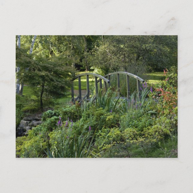 Carte Postale Petit pont en bois (Devant)