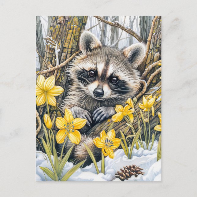 Carte Postale Petit Raton laveur parmi les chênes printaniers (Devant)