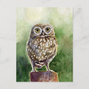 Carte Postale Petite chouette aquarelle