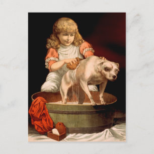 Carte Postale Petite Fille Baigner Son Chien