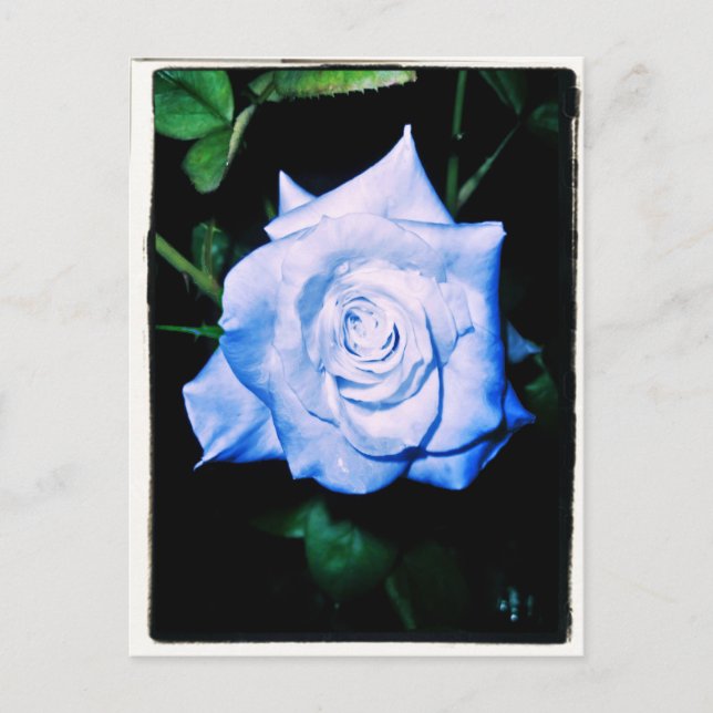 Carte Postale Petite princesse bleue (Devant)