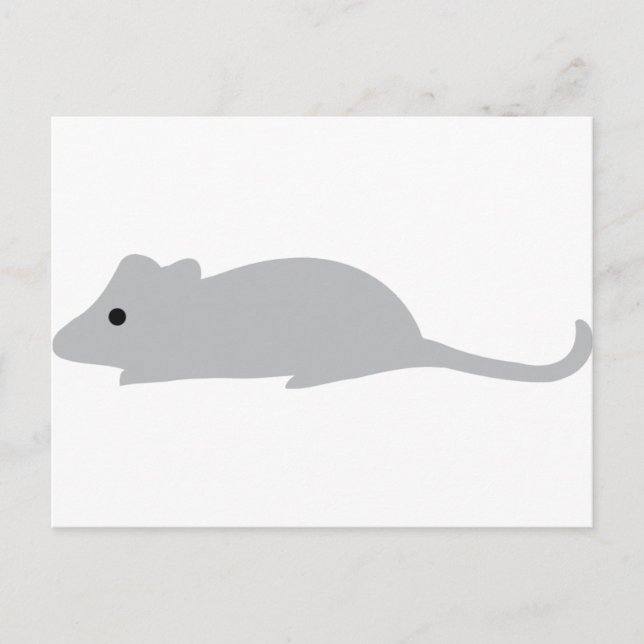 Carte Postale petite souris grise (Devant)