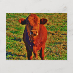 Carte Postale Petite vache Brown Graine verte brillante
