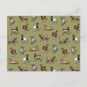 Carte Postale Petites chèvres en vert - Motif de troupeau de chè