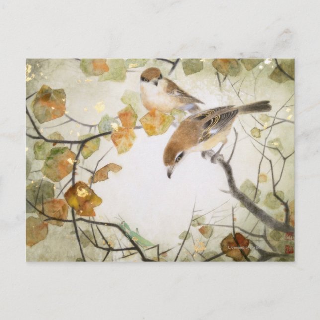 Carte Postale Petites grikes à tête molle (Devant)