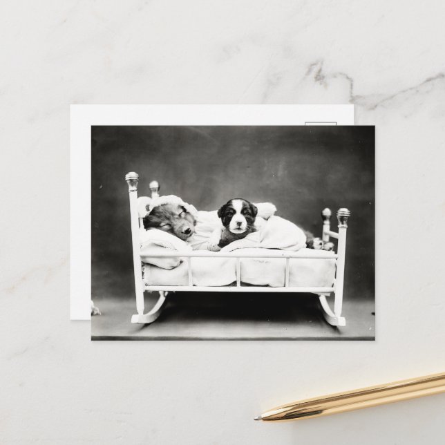 Carte Postale Petites marionnettes en lit (Devant/Arrière en situation)