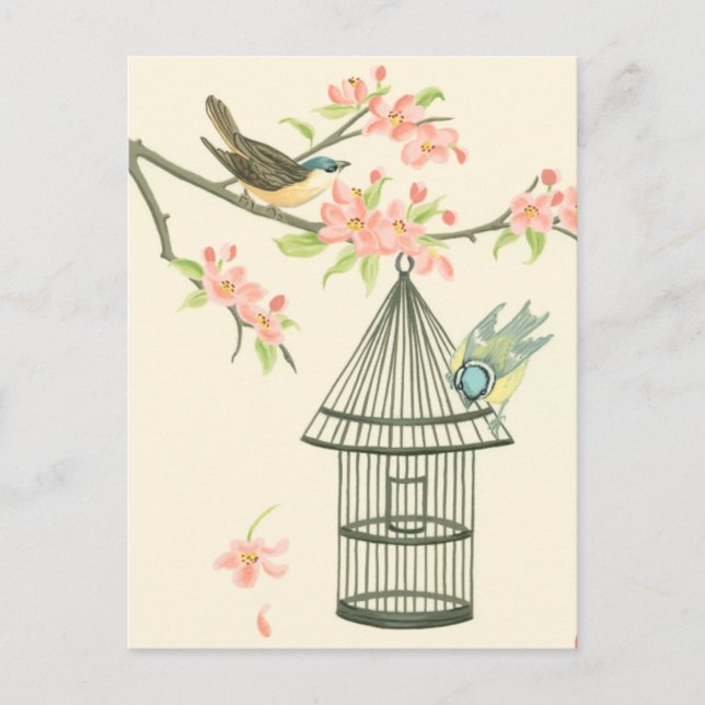 Carte Postale Petits oiseaux perchés sur une branche et sur une  (Devant)