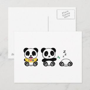 Carte Postale Petits pandas mignons sur fond blanc