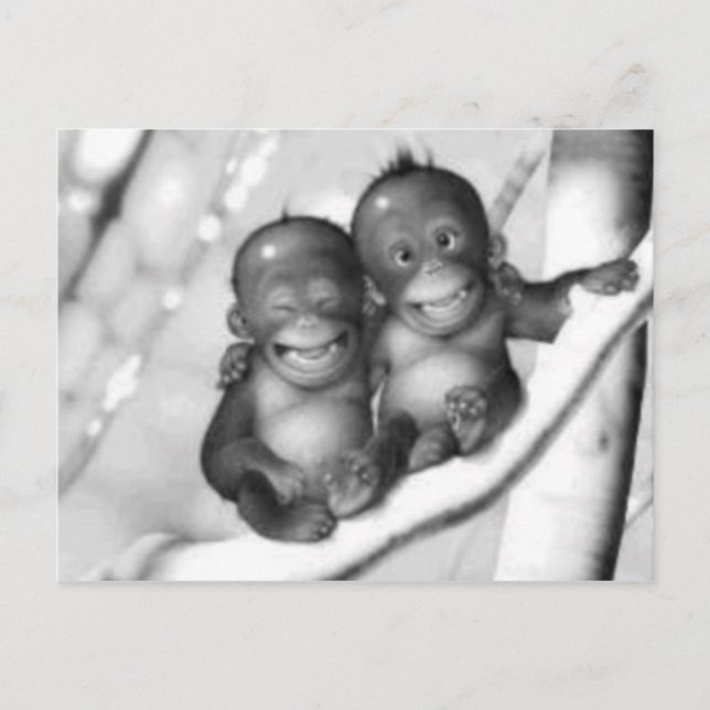 Carte Postale Petits singes (Devant)