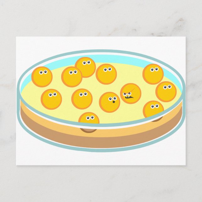 Carte Postale Petri Disque MRSA (Devant)