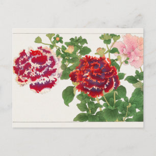 Carte Postale Pétunia par Tanigami Konan