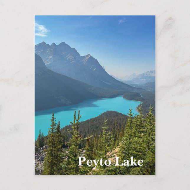 Carte Postale Peyto Lake in Banff Canada (Devant)