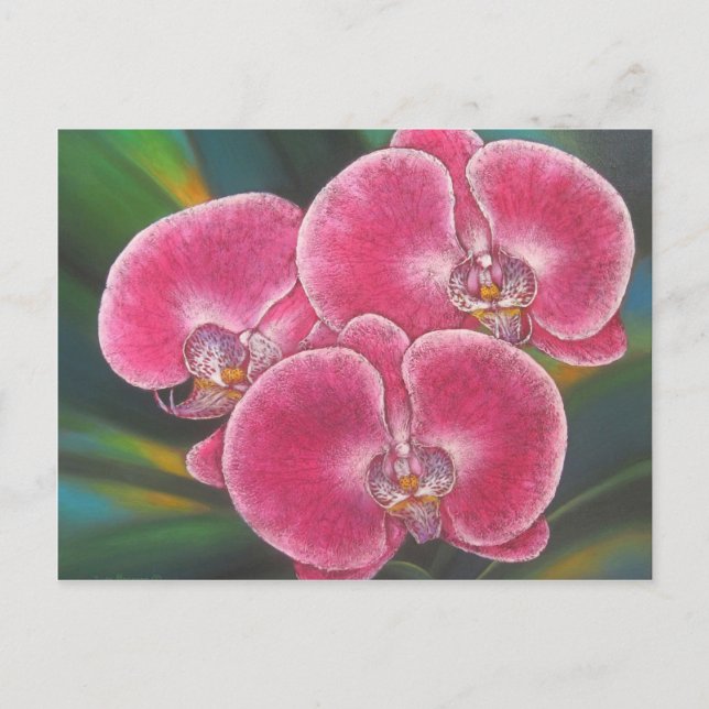 Carte Postale Phalaenopsis rose Orchidées Fleurs Peinture acryli (Devant)