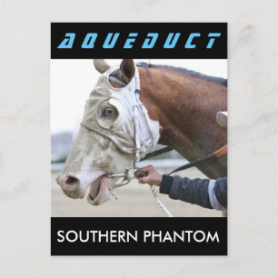 Carte Postale Phantom du sud