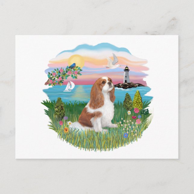 Carte Postale Phare - Cavalier (BL-F) (Devant)