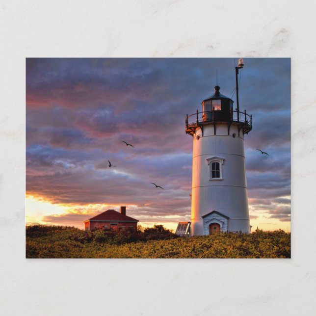 Carte Postale Phare de Race Point (Devant)