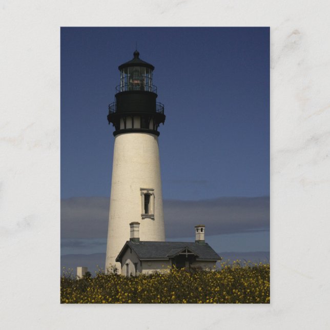 Carte Postale Phare de Yaquina Head - NOUVEAU (Devant)
