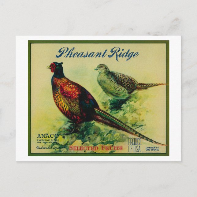 Carte Postale Pheasant Ridge Apple Crate Étiquette (Devant)