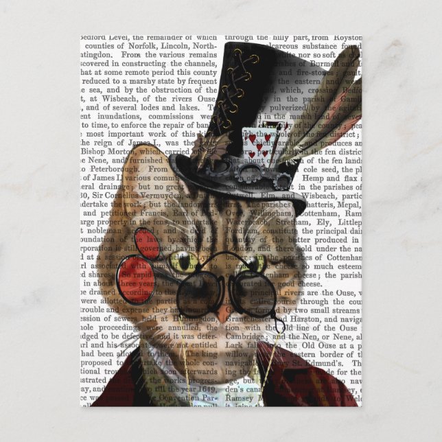 Carte Postale Phileas Feline Steampunk Chat et chapeau supérieur (Devant)