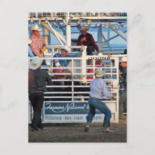 Carte Postale Phillipsburg, Kansas Rodeo 2007