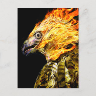 Carte Postale Phoenix