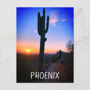 Carte Postale Phoenix Arizona Saguaro Cactus Sunset Souvenir