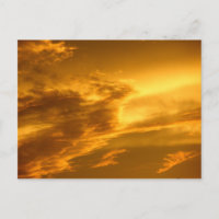 Phoenix Cloud
