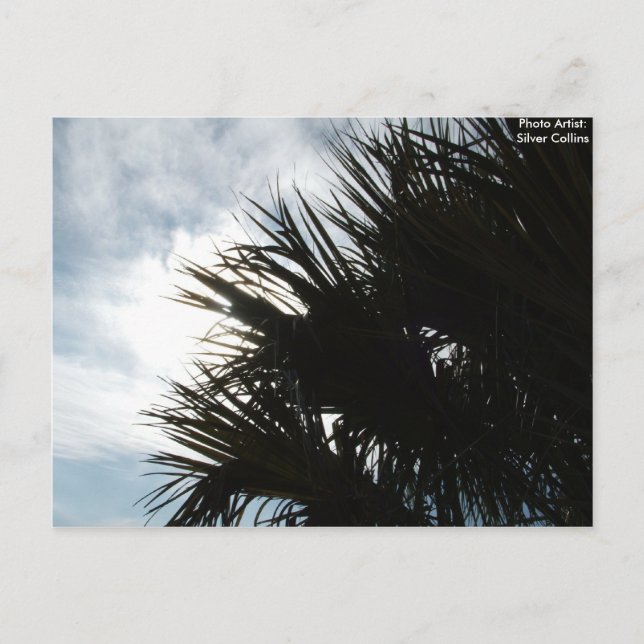 Carte Postale Photo 150, Artiste photo : Collins d'argent (Devant)