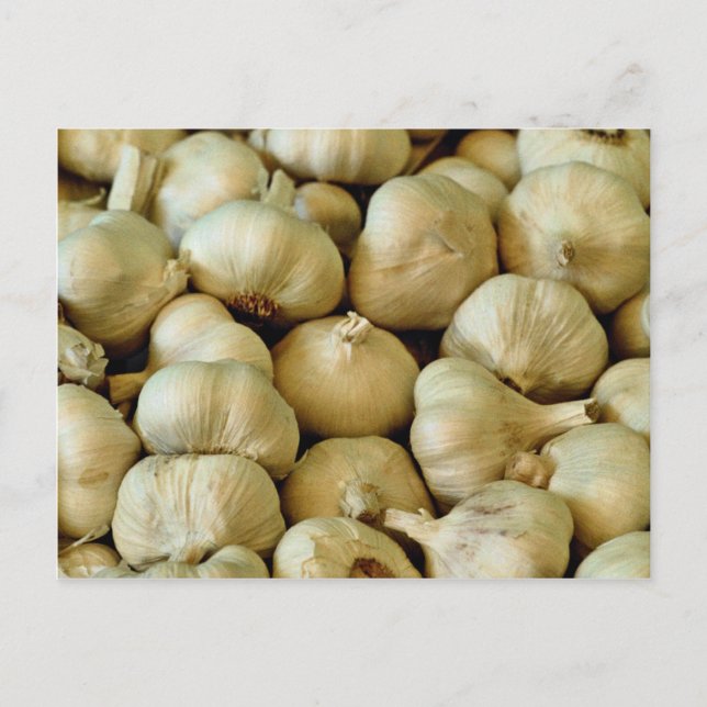 Carte Postale Photo ail frais (Devant)