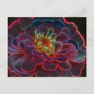 Carte postale photo Art numérique Zinnia