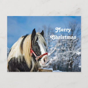 Carte Postale Photo Cheval Paint Neige Noël