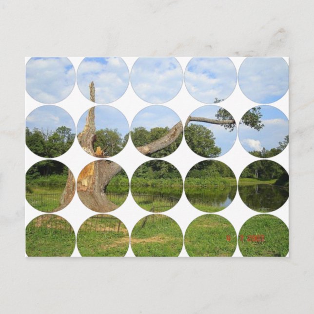 Carte postale photo circulaire (Devant)