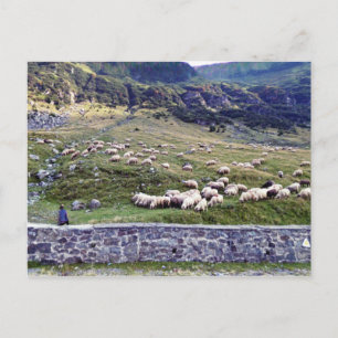 Carte postale photo classique