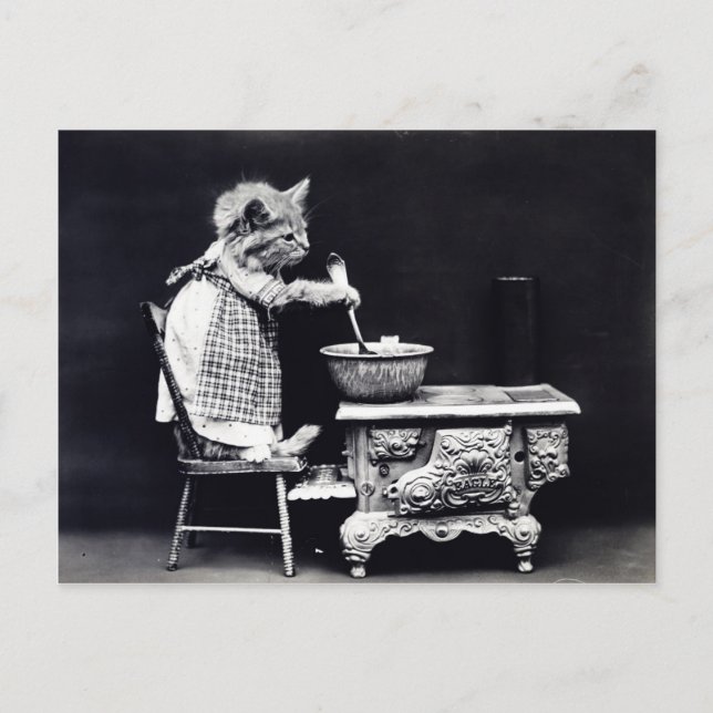 Carte Postale Photo cuisine chaton vintage (Devant)