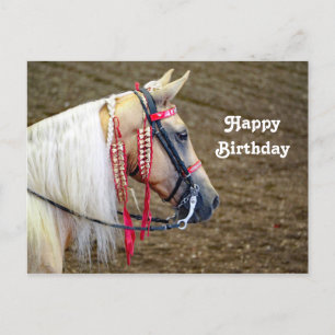 Carte Postale Photo d'anniversaire de beau cheval Palomino