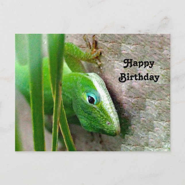 Carte Postale Photo d'anniversaire du lézard vert de Caroline An (Devant)