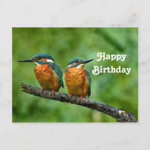 Carte Postale Photo d'anniversaire du roi de la faune martin-pêc