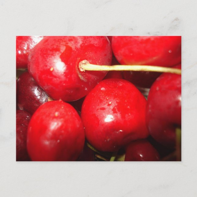 Carte Postale Photo d'art de cerises (Devant)