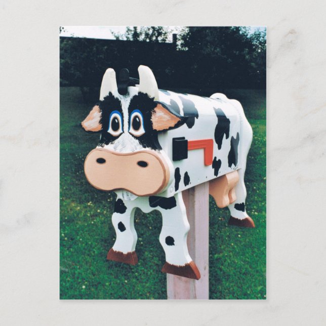 Carte Postale Photo de boîte aux lettres de vache drôle (Devant)