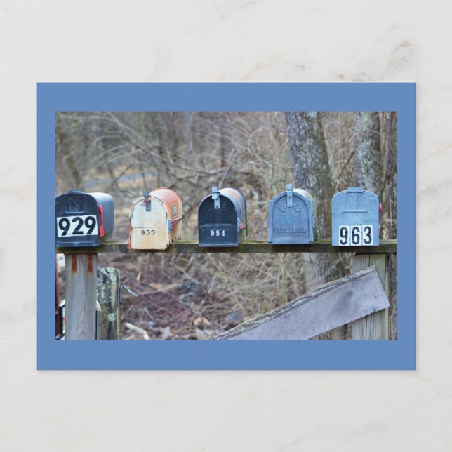 Carte Postale Photo de boîtes aux lettres (Devant)