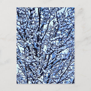 Carte Postale Photo de branches d'arbre hivernales enneigées